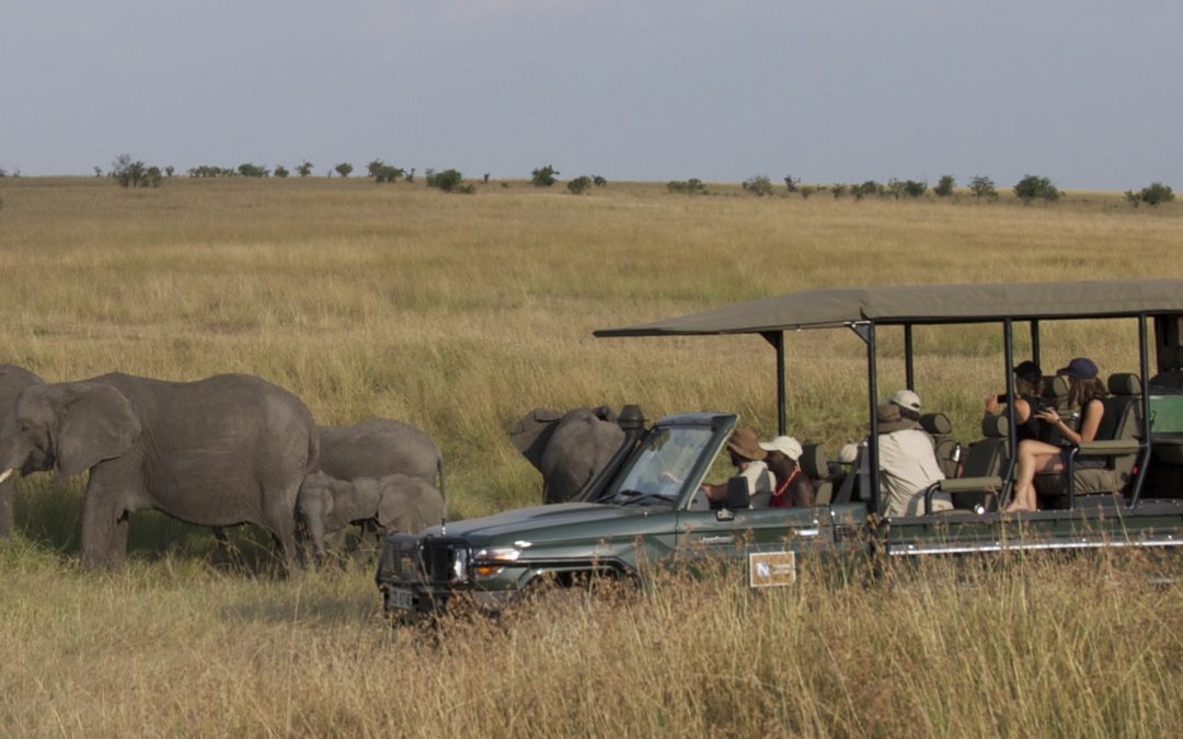 WWF Kenya Safari Sweepstakes—Announcing the Adventure and the Winners