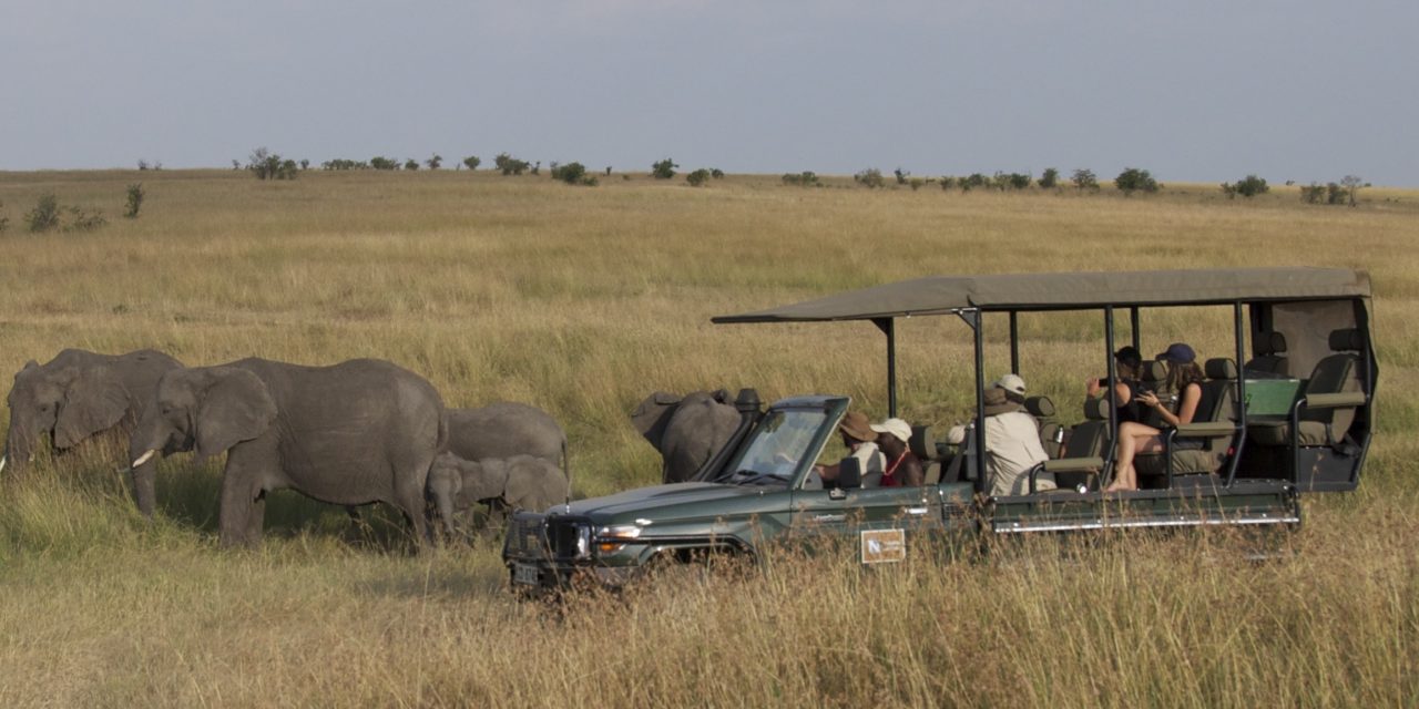 WWF Kenya Safari Sweepstakes—Announcing the Adventure and the Winners