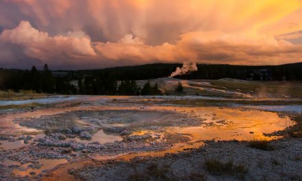 How to Avoid the Crowds and Enjoy Yellowstone