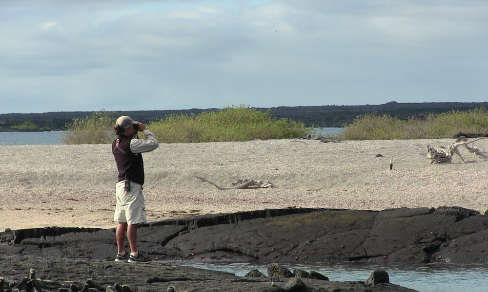 Galapagos Islands