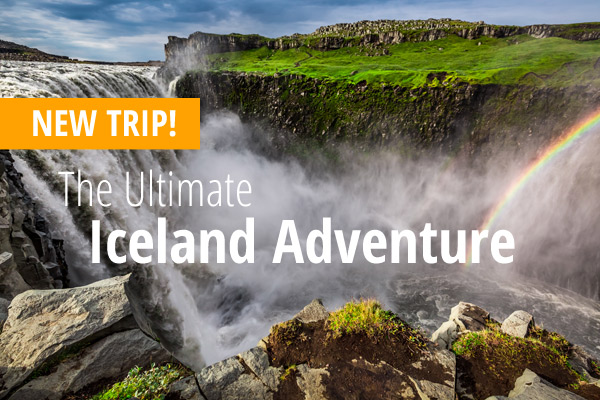 New Trip: The Ultimate Iceland Adventure