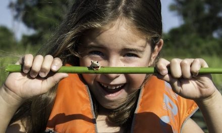 Top 7 African Safari Camps Perfect for Families