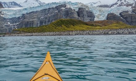 Pushed Around on South Georgia Island | Olaf’s Corner