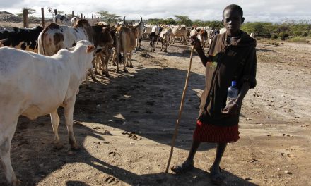 Hidden from Headlines: Climate Change News