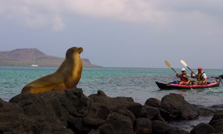 10 Reasons to Kayak the Galapagos