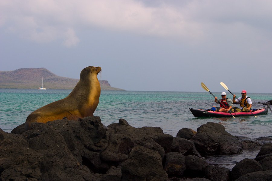 Galapagos Kayaking