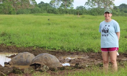 12 Natural World Heritage Sites to Visit this Year