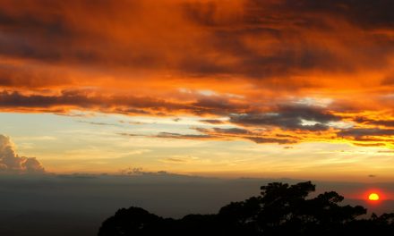 Clouds Can Help Find Threatened and Endangered Species