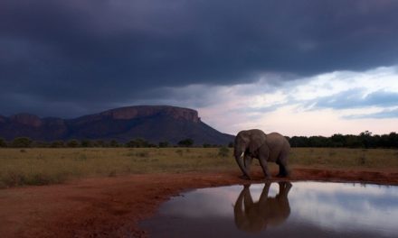 Africa’s Best Kept Secrets: Top 7 Parks & Reserves