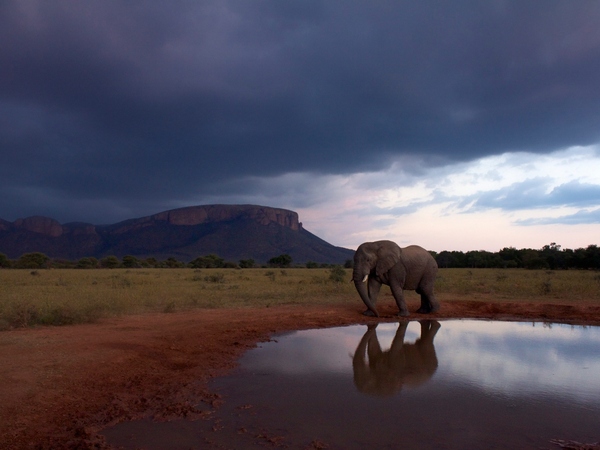 Africa’s Best Kept Secrets: Top 7 Parks & Reserves