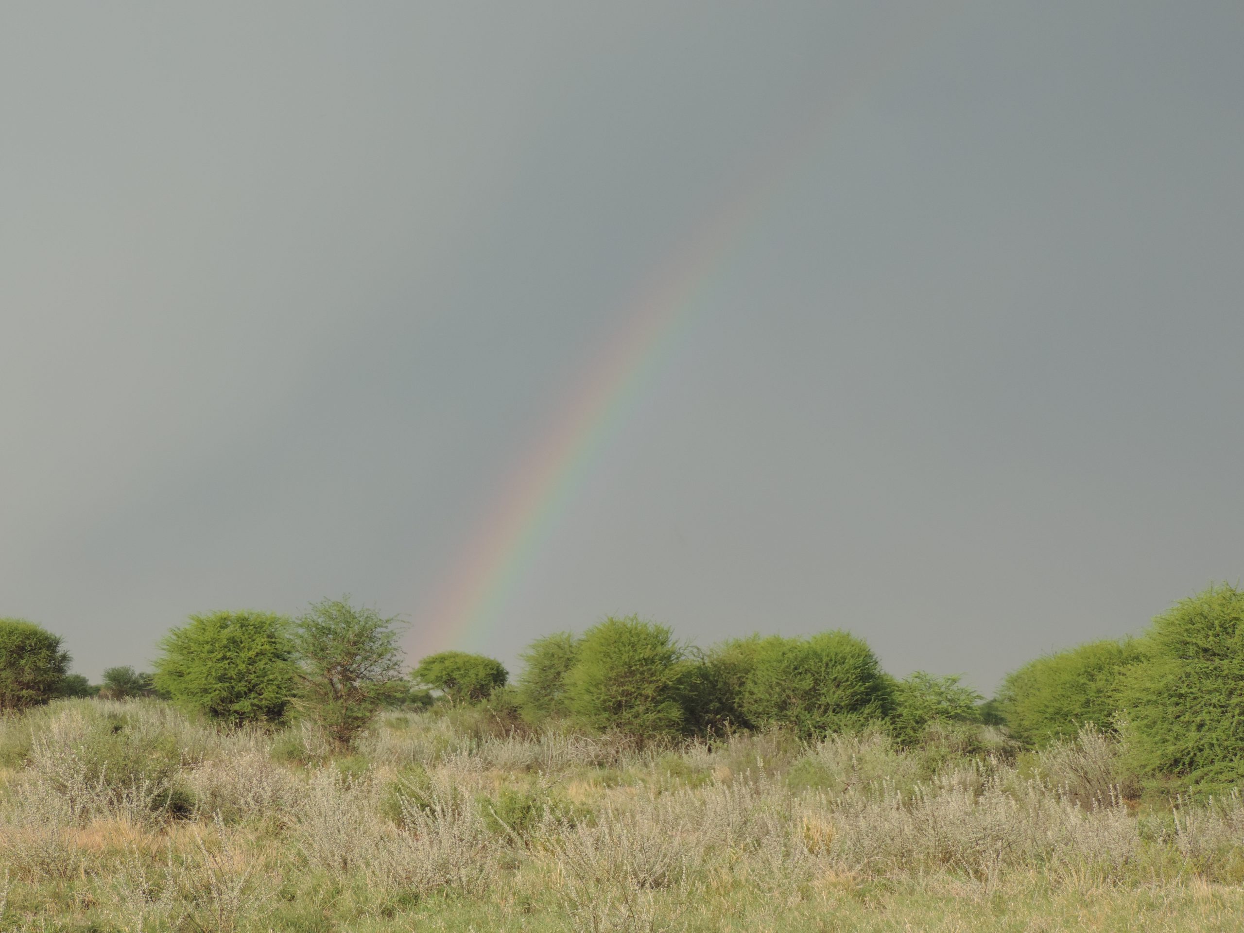 Deborah Ackerman/WWF-US