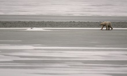 Listen, and You Might Actually Hear Climate Change