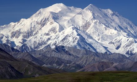 National Parks and Private Partners: A Blueprint for the Future?