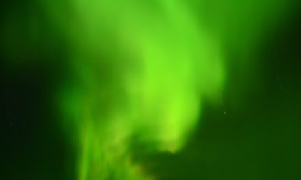 Churchill Without Expectations