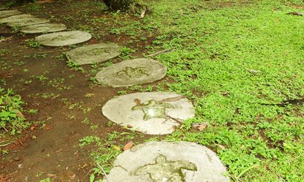 Conservation and Tourism Go Hand in Hand