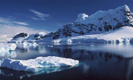 Plants and People: Moving to Antarctica for Good—or Bad?