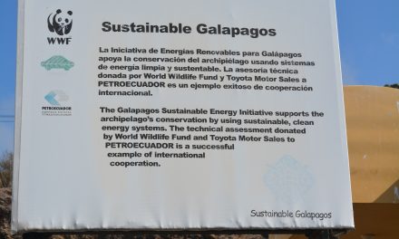 The Galápagos: Conservation in Action