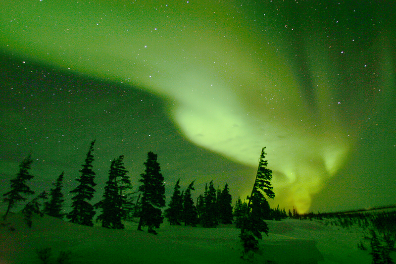 Northern lights in churchill with trees and stars