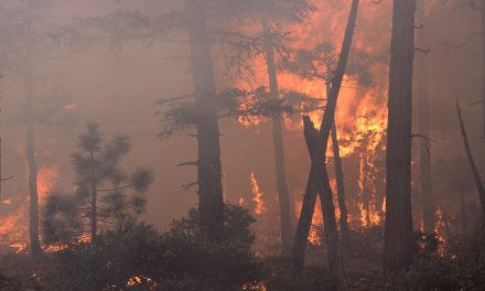 Family Politics: Ranking Climate Change