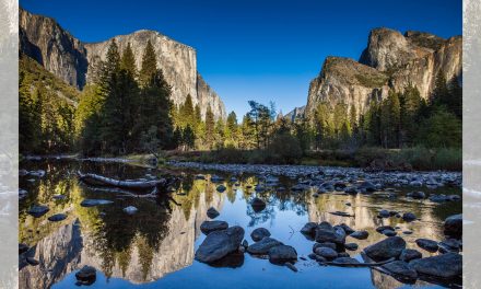 President Talks about Climate Change in Yosemite National Park: Is It Too Late?