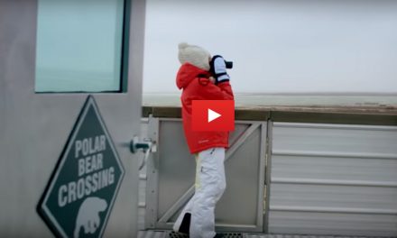 Nature is worth protecting