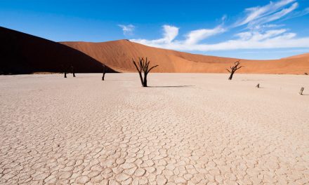 Top 5 Ways to Experience Namibia