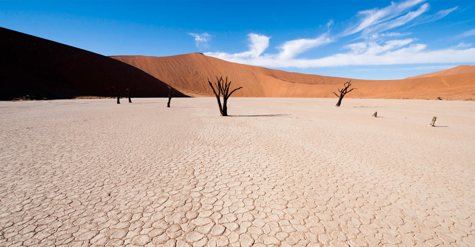 Namibia Wildlife Safari