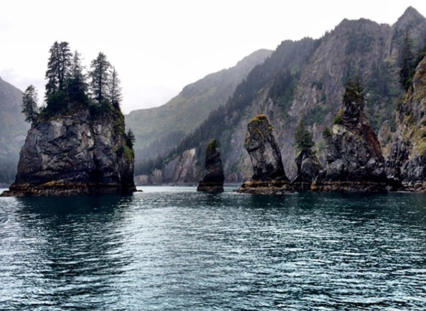 Kenai Fjords Alaska