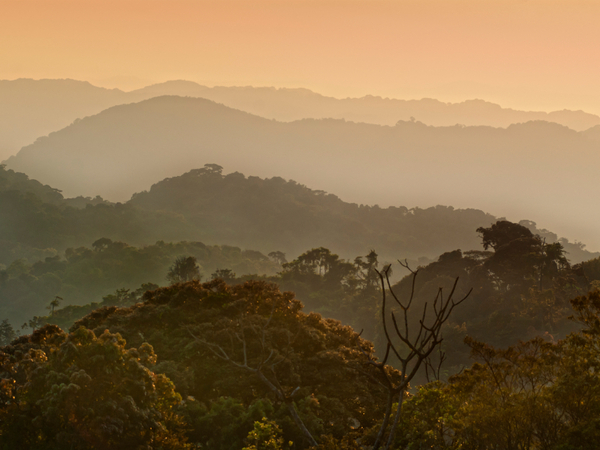 The Secrets Behind Rwanda’s Conservation Comeback