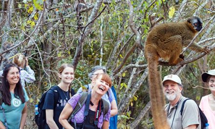 Wild Lemurs & More in Madagascar