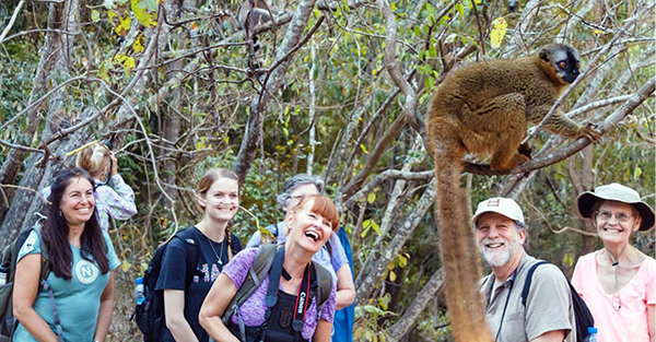 Wild Lemurs & More in Madagascar