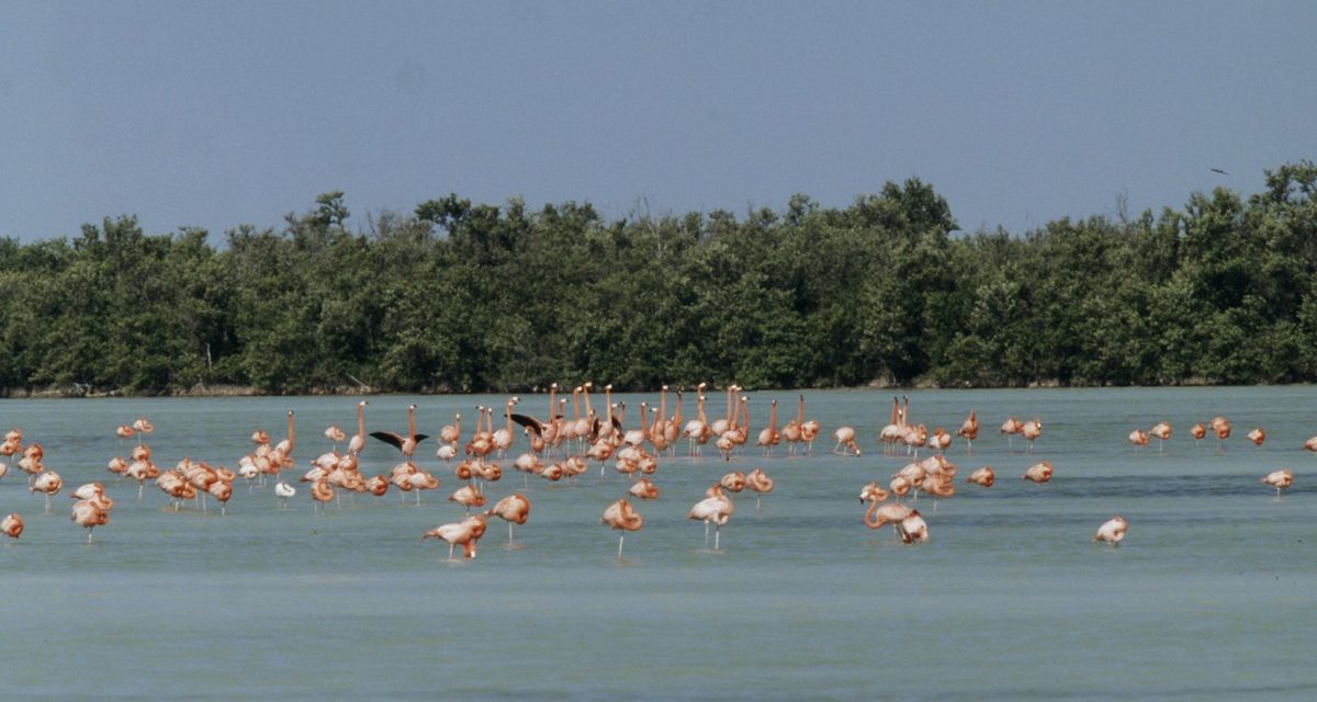 Photo Diary: A Day in Cuba