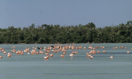 Photo Diary: A Day in Cuba
