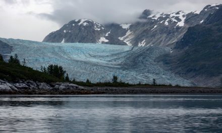 Finding the Sound of Silence in Glacier Bay National Park