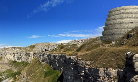 Memorial to Loss: the Mass Extinction Monitoring Observatory