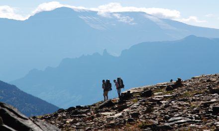 Peril to Our Public Lands: Privatization