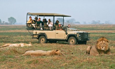 Zambia: A Hidden Gem