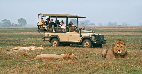 Busanga Boys Lion Brothers