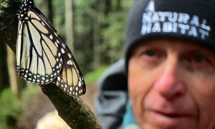 A Profound Encounter in Mexico