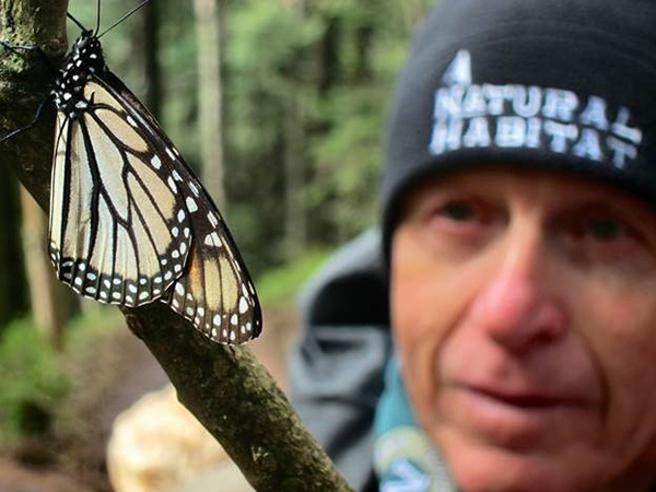 Monarch Butterflies Migration Trip