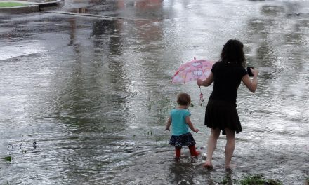 No More Warnings: the Results of Climate Change Are Here