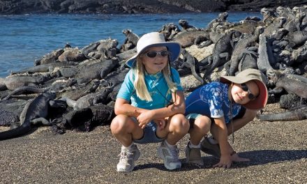 Galapagos Fun Facts for Children (And Grown Up Kids!)—Part 1