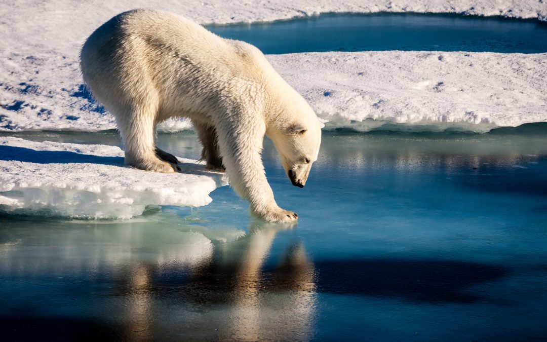 Video: What’s Warming the Earth—Explained