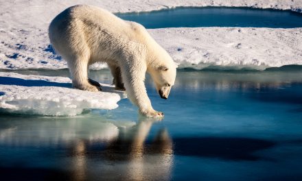 Video: What’s Warming the Earth—Explained