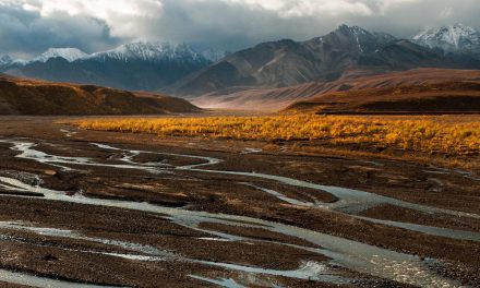 The Matter of One Meadow: Yosemite’s New Addition