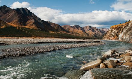 Video: Finding the Words to Define “Wilderness”