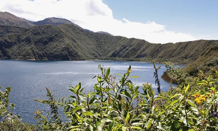 Ecuador & Galapagos Fun Facts—Part 3: Mainland Ecuador