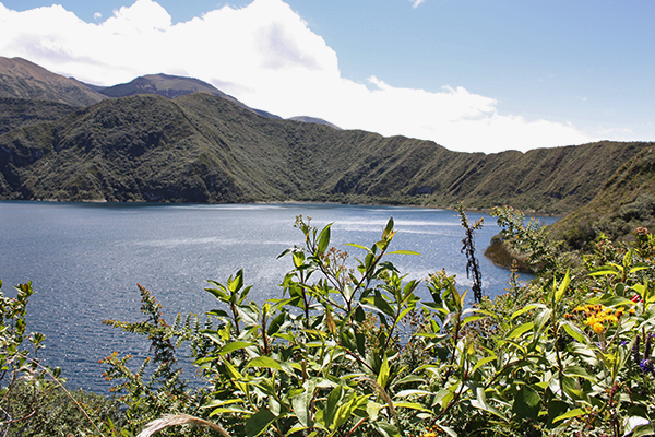 Andean Highlands of Ecuador