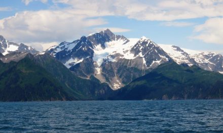 Kenai Fjords Wilderness Lodge, A Must See