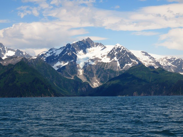 Just a sample of the amazing views in the Kenai Fjords